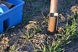 New Test Can Determine Nitrogen Levels in Soil